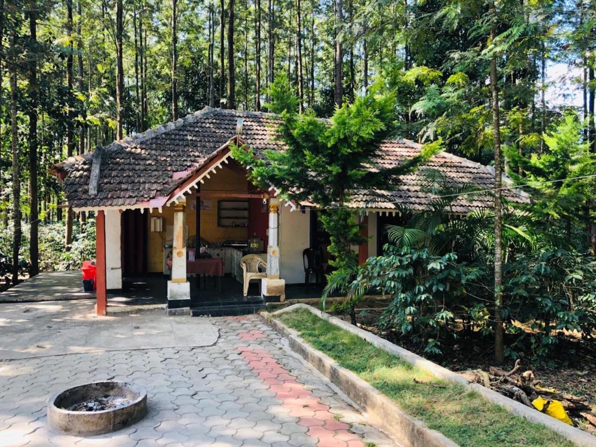 Silver Shadow Homestay Chikmagalur Luaran gambar